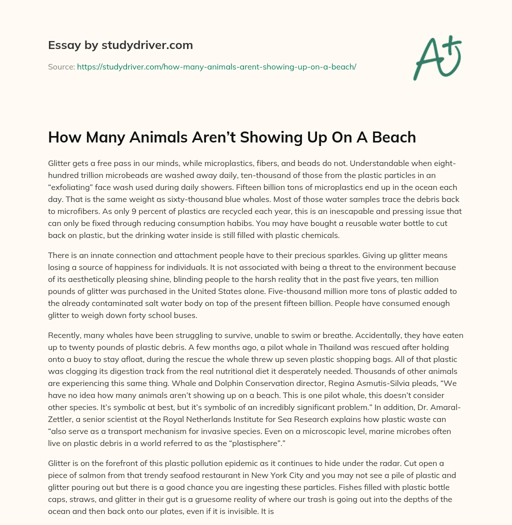 How Many Animals Aren’t Showing up on a Beach essay