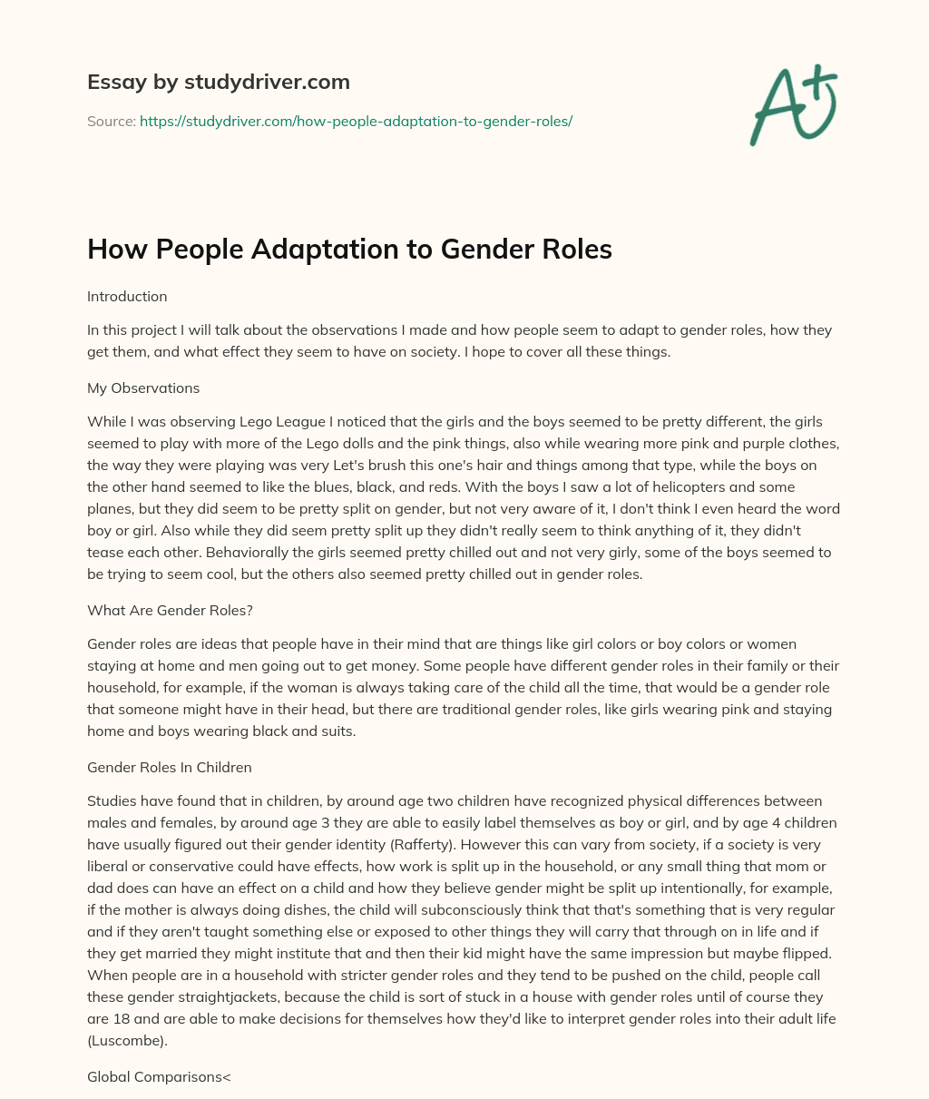 How People Adaptation to Gender Roles essay