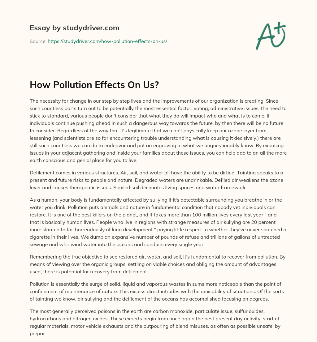 How Pollution Effects on Us? essay