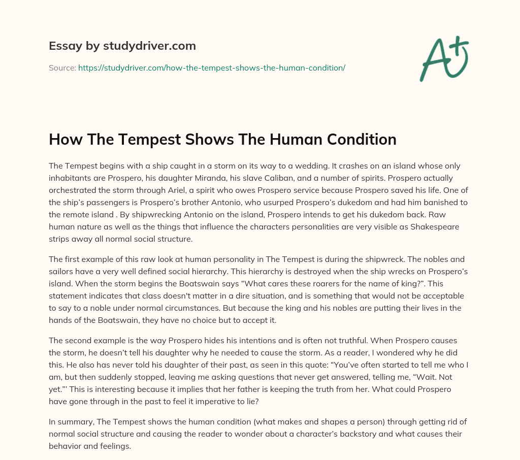 How the Tempest Shows the Human Condition essay