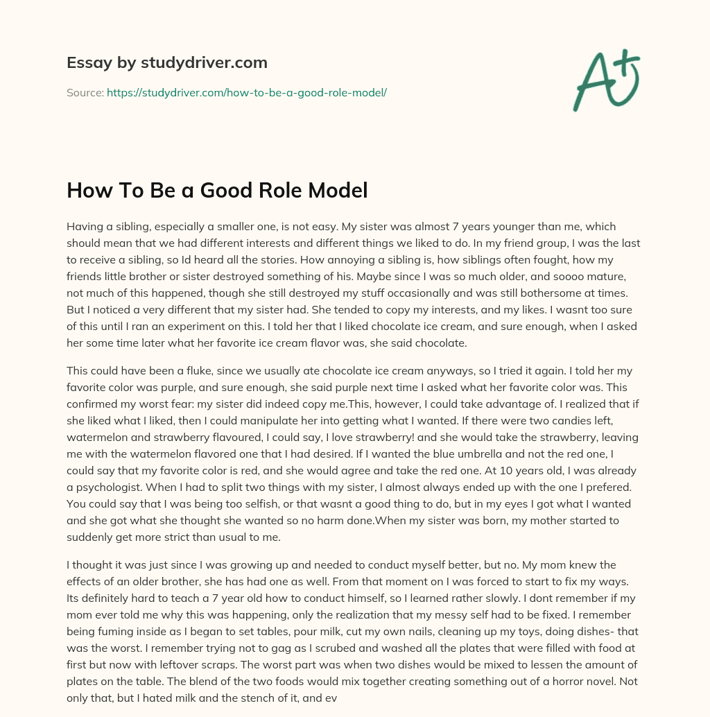 How to be a Good Role Model essay