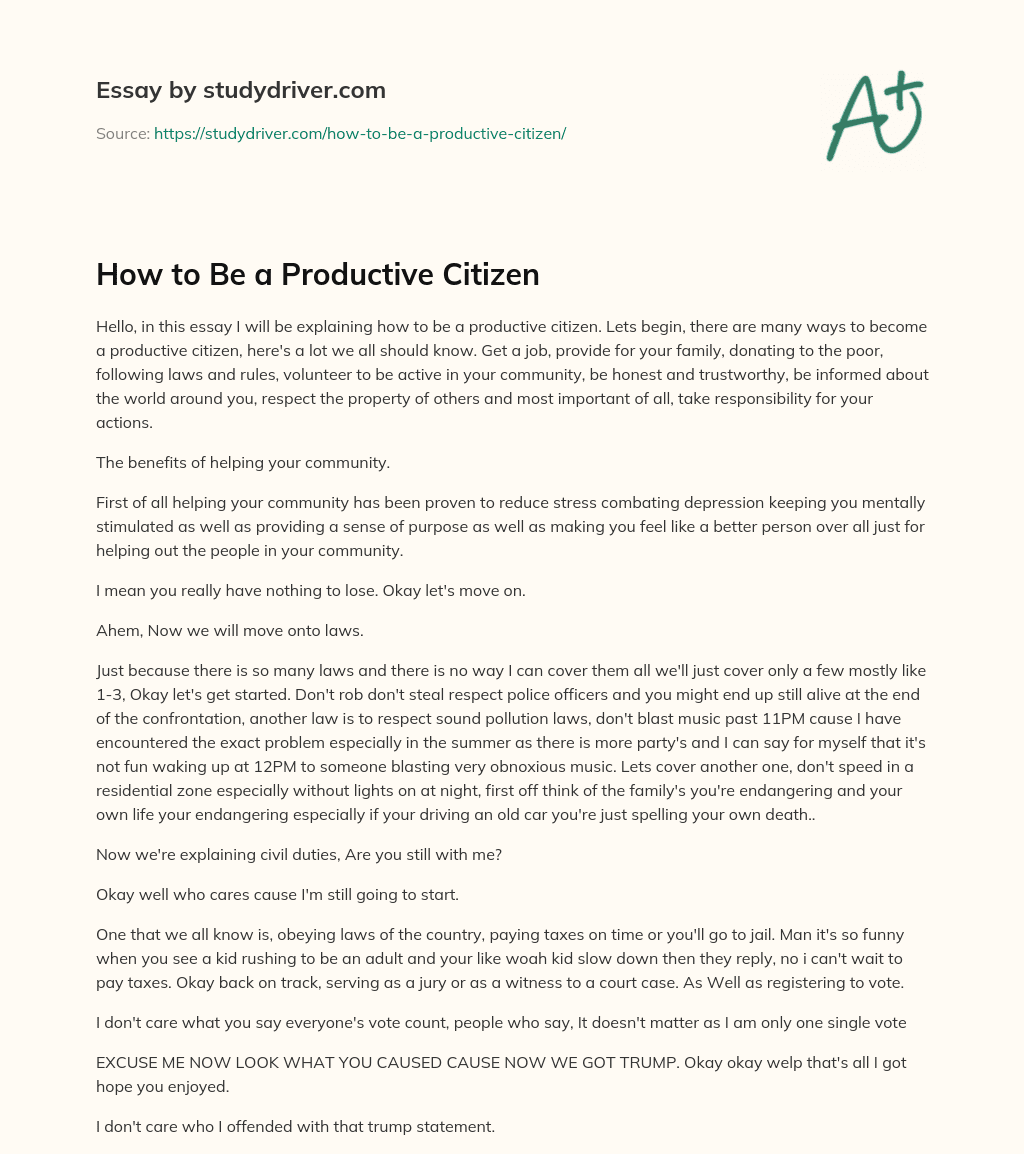 How to be a Productive Citizen essay
