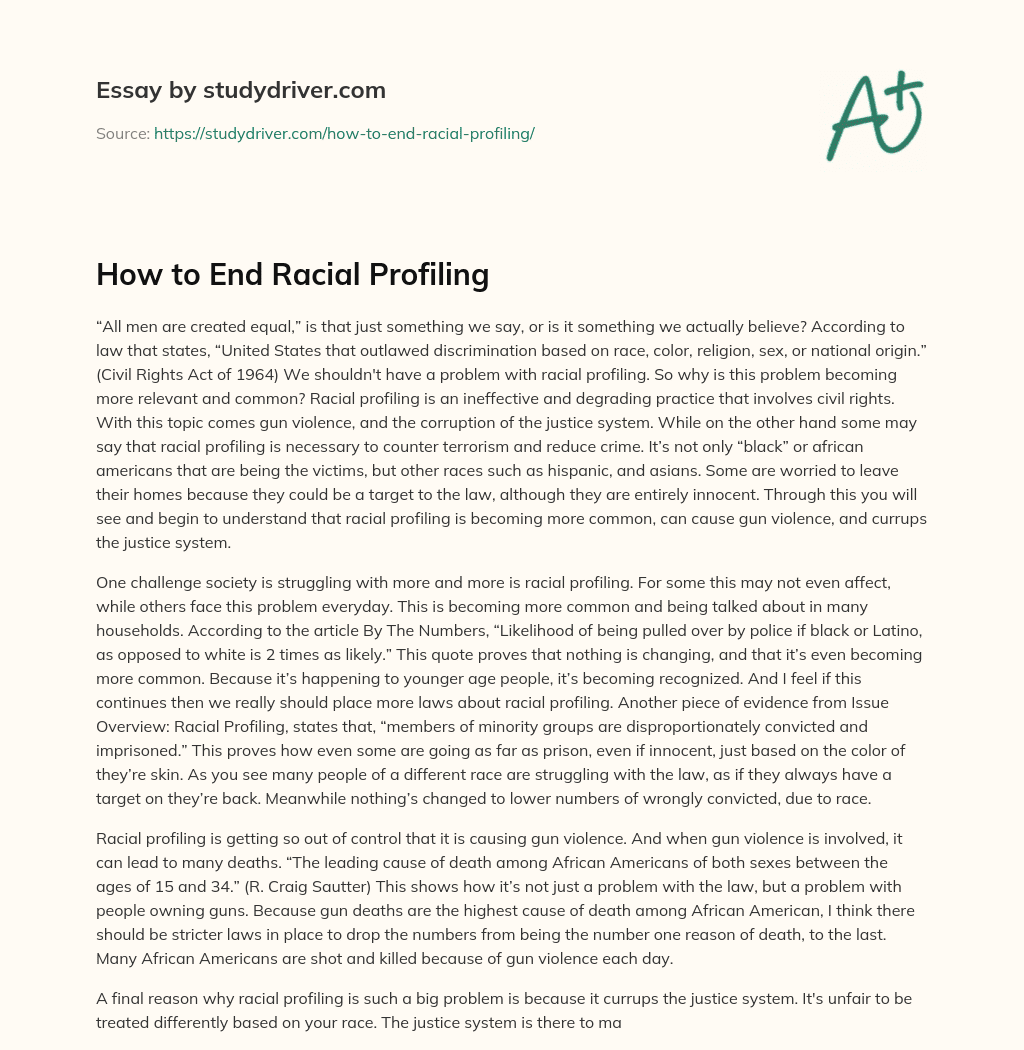 How to End Racial Profiling essay