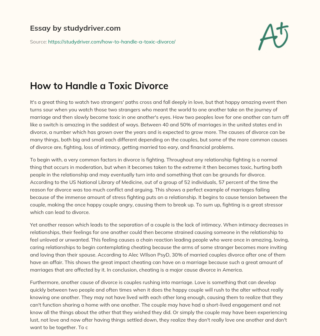 How to Handle a Toxic Divorce essay