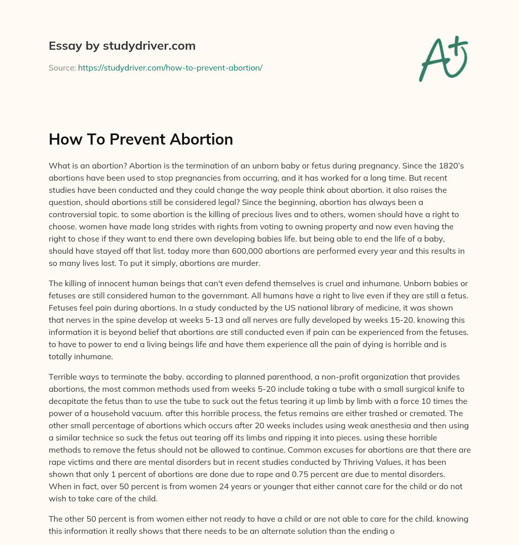 How to Prevent Abortion essay