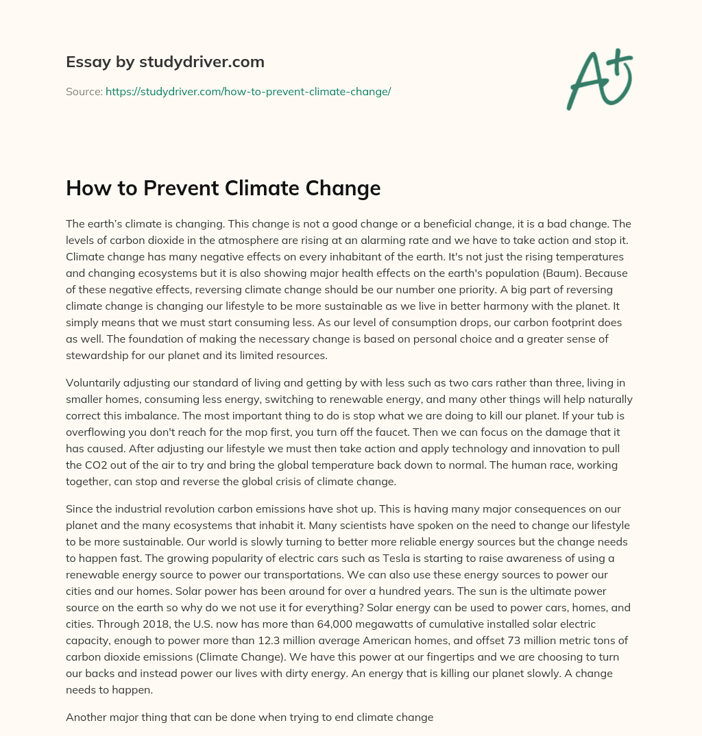 How to Prevent Climate Change essay