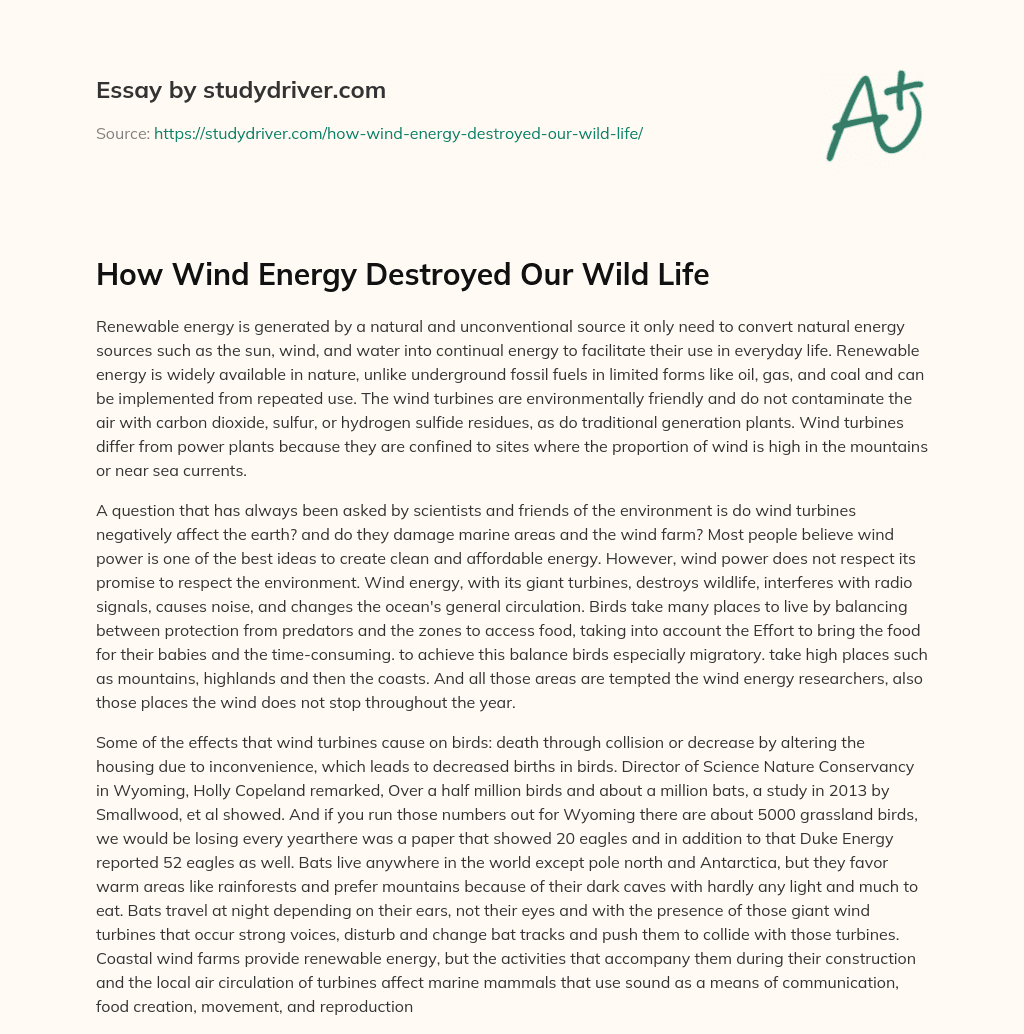 How Wind Energy Destroyed our Wild Life essay