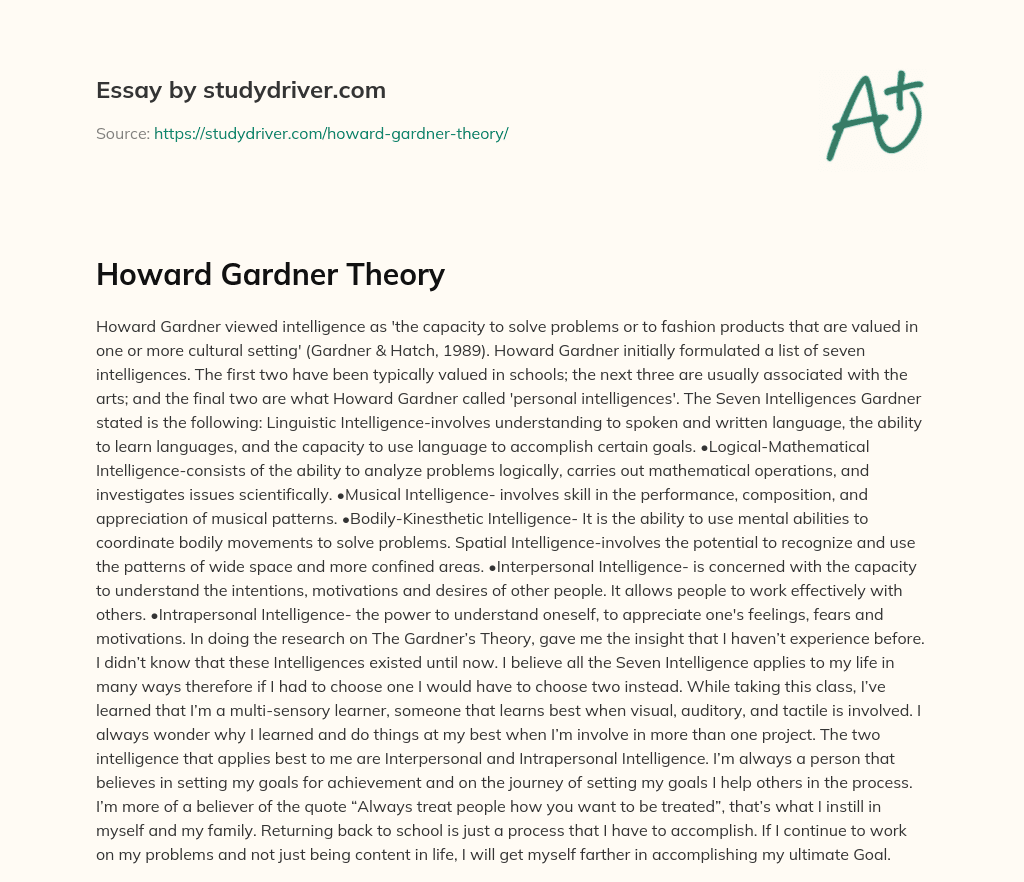 Howard Gardner Theory essay
