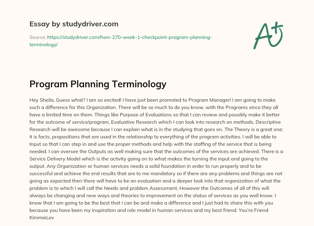 Program Planning Terminology essay