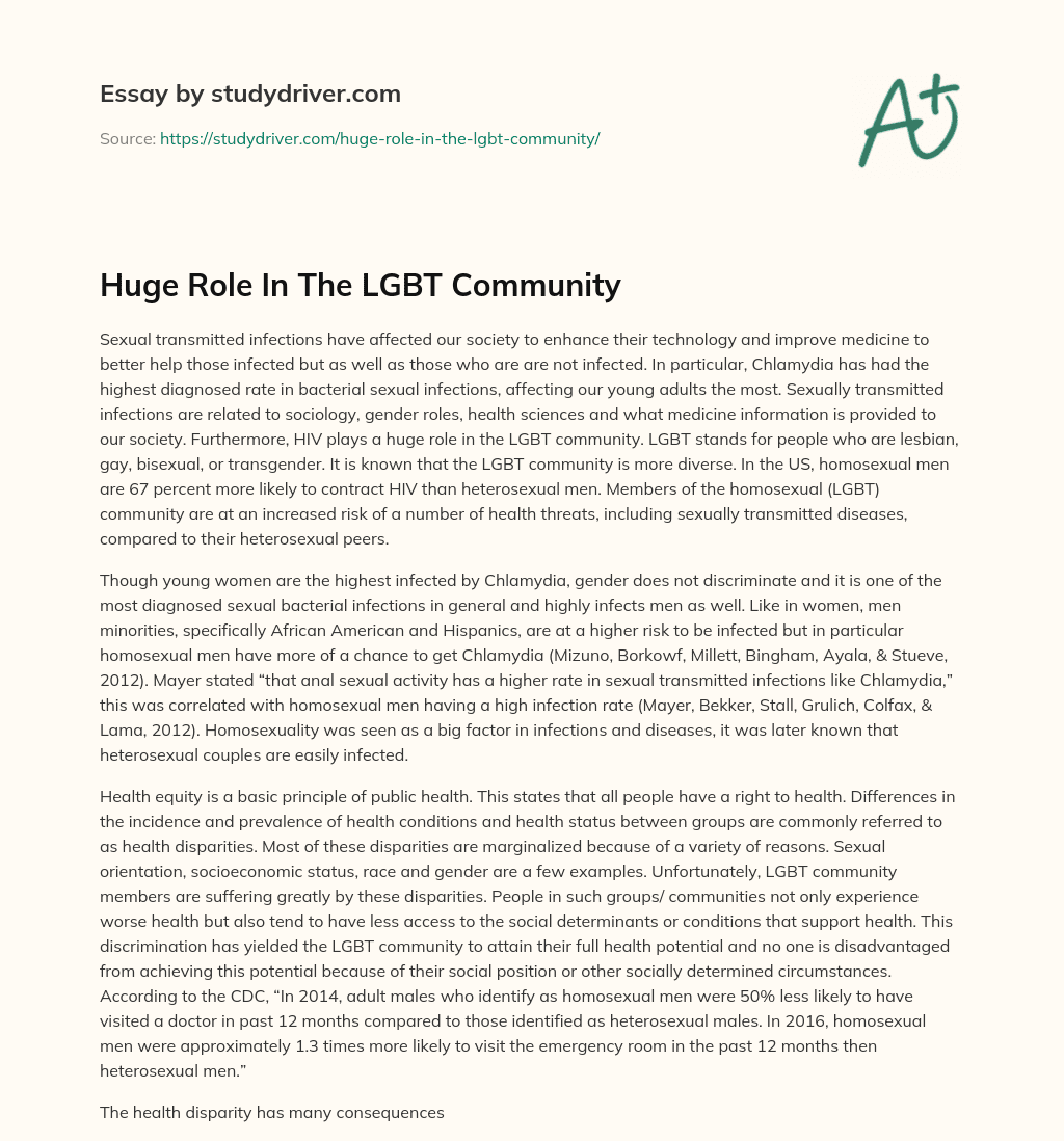 Huge Role in the LGBT Community essay