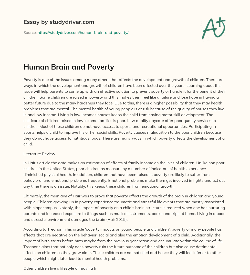 Human Brain and Poverty essay