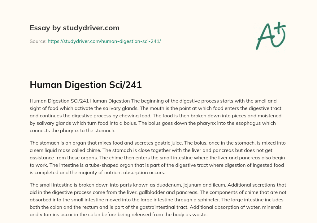 Human Digestion Sci/241 essay