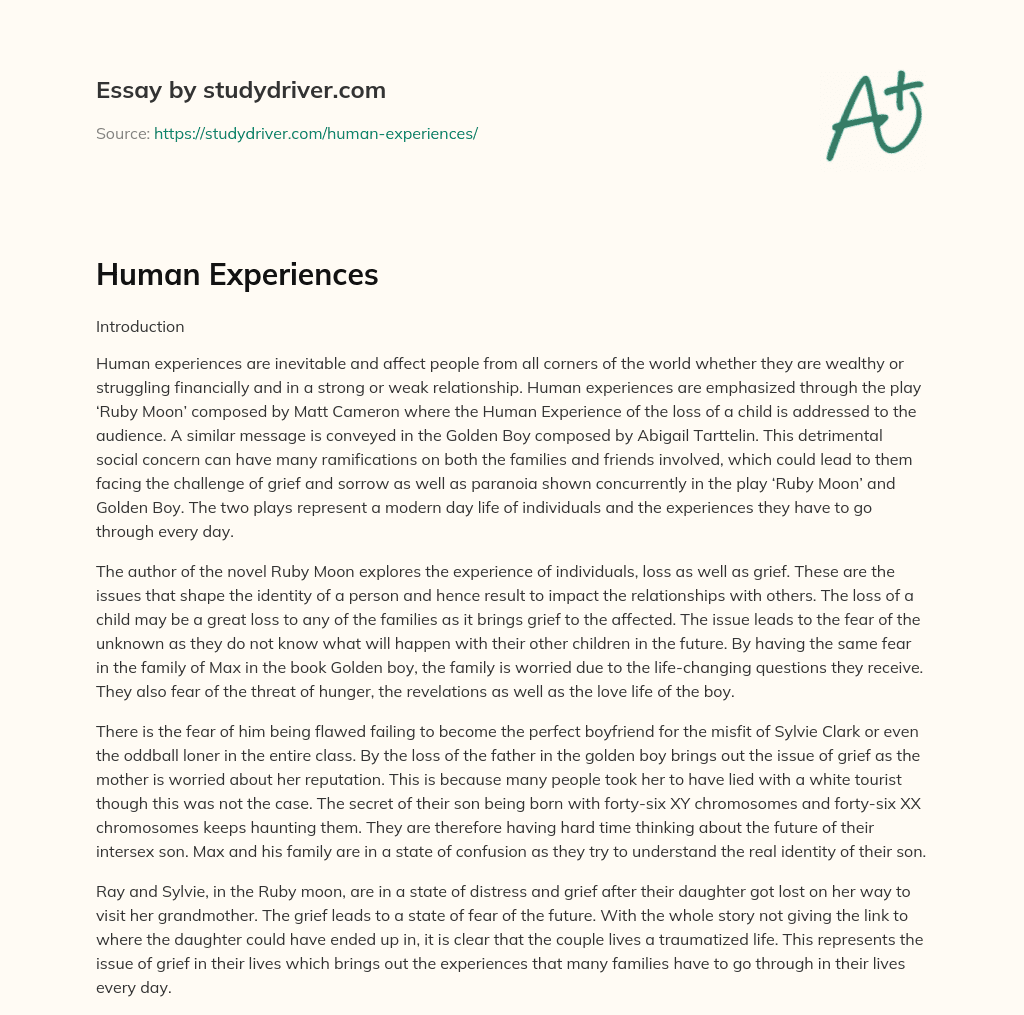 Human Experiences essay
