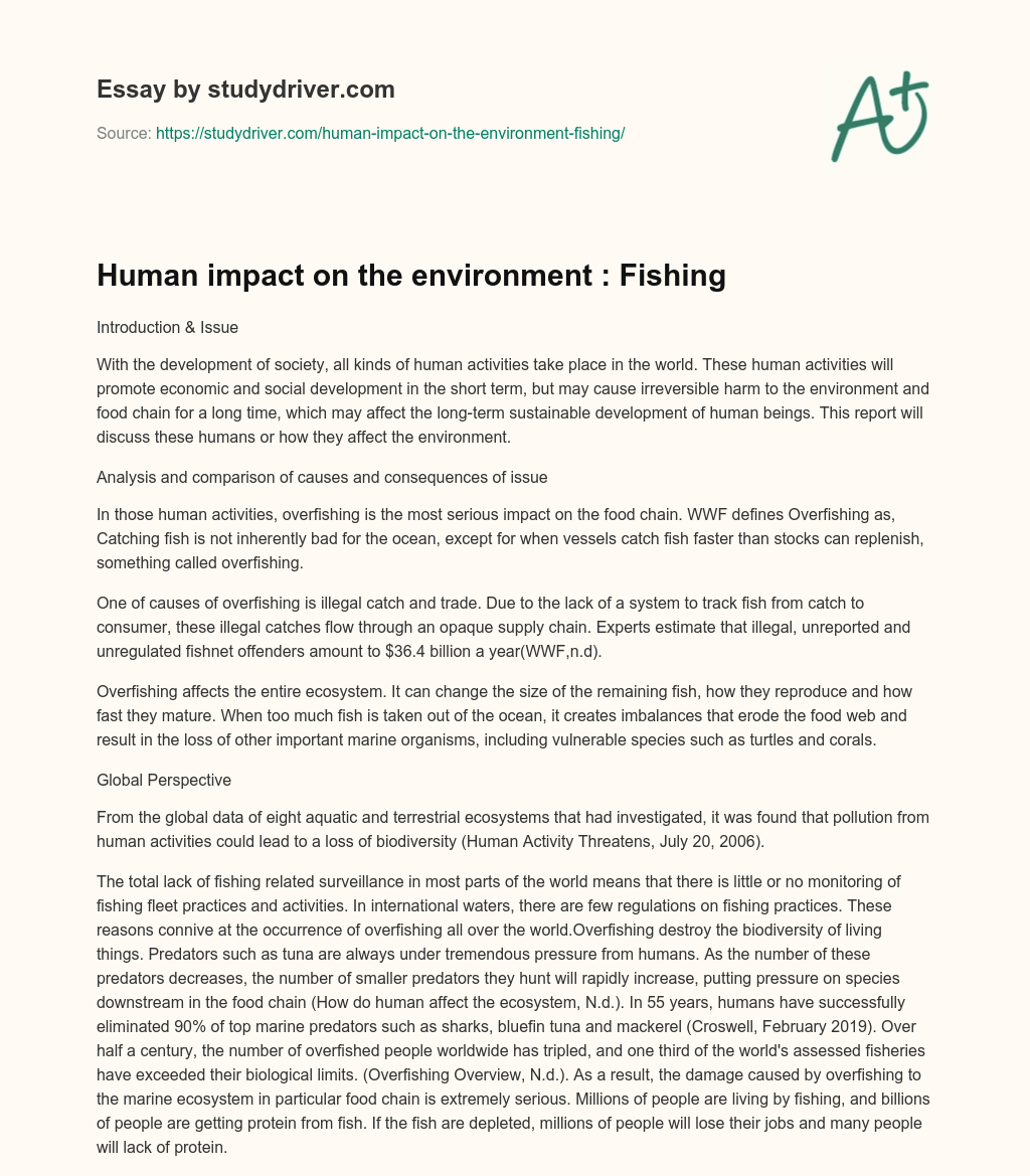 Human Impact on the Environment : Fishing essay