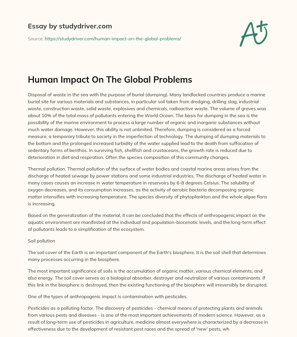 Human Impact on the Global Problems essay