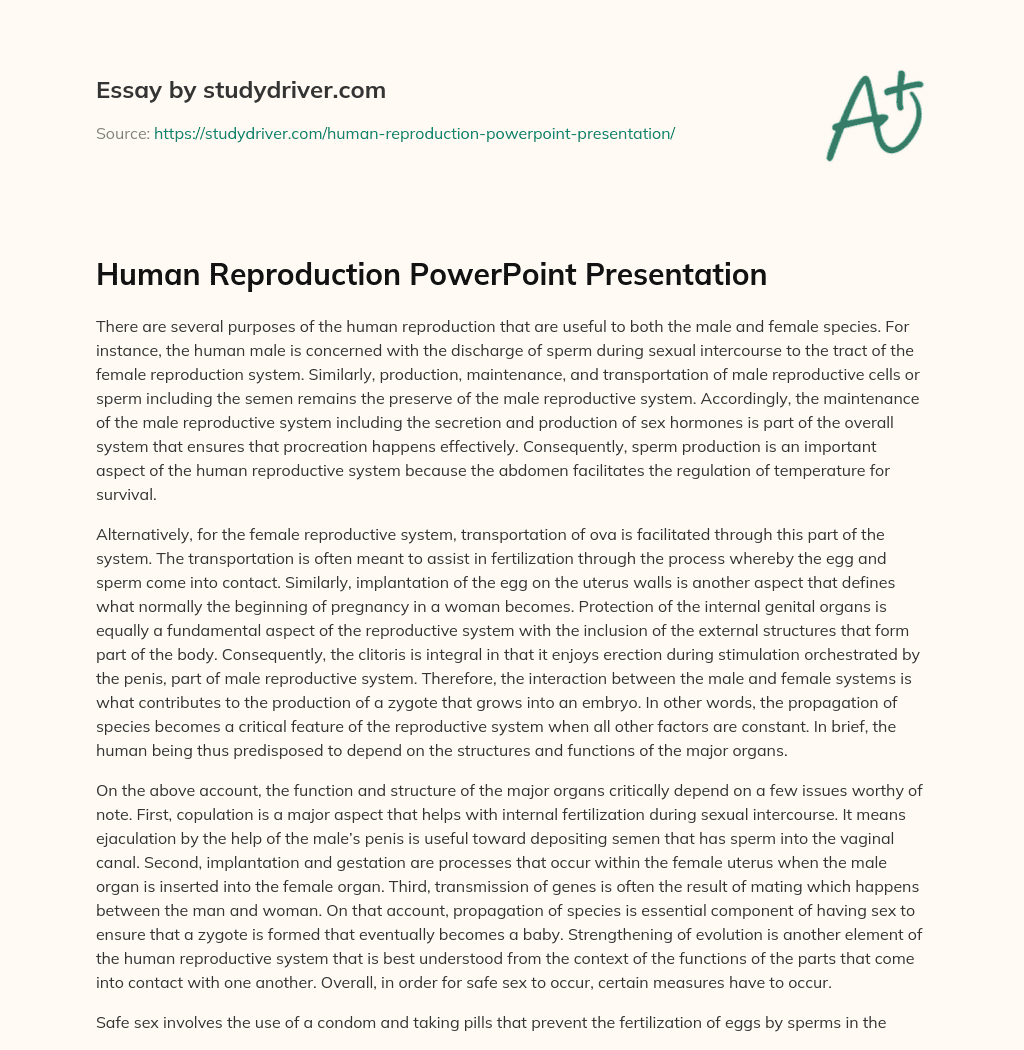 Human Reproduction PowerPoint Presentation essay