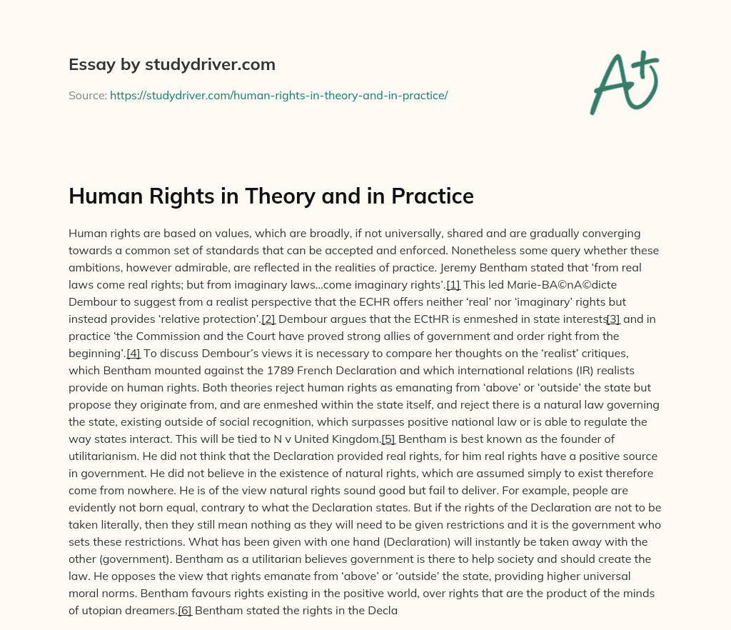 Human Rights in Theory and in Practice essay