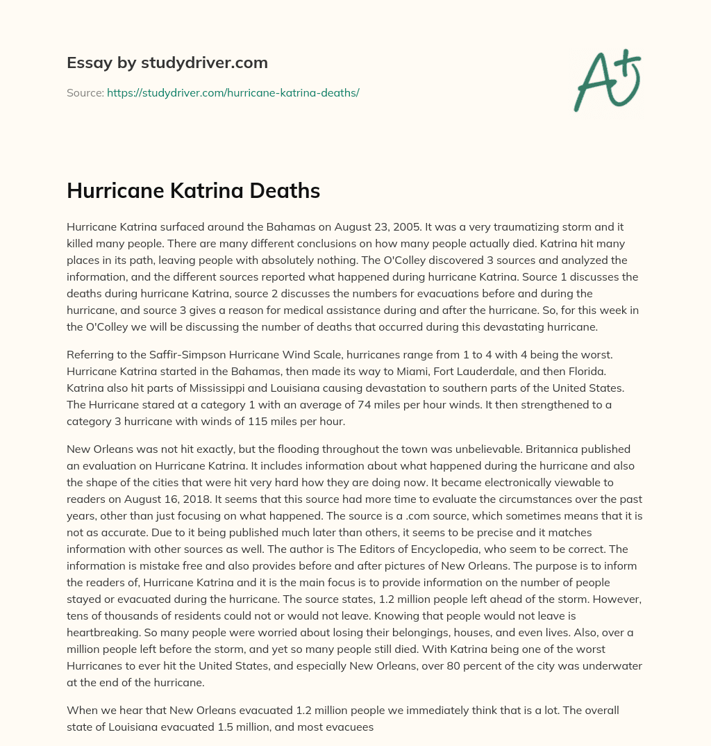 Hurricane Katrina Deaths essay