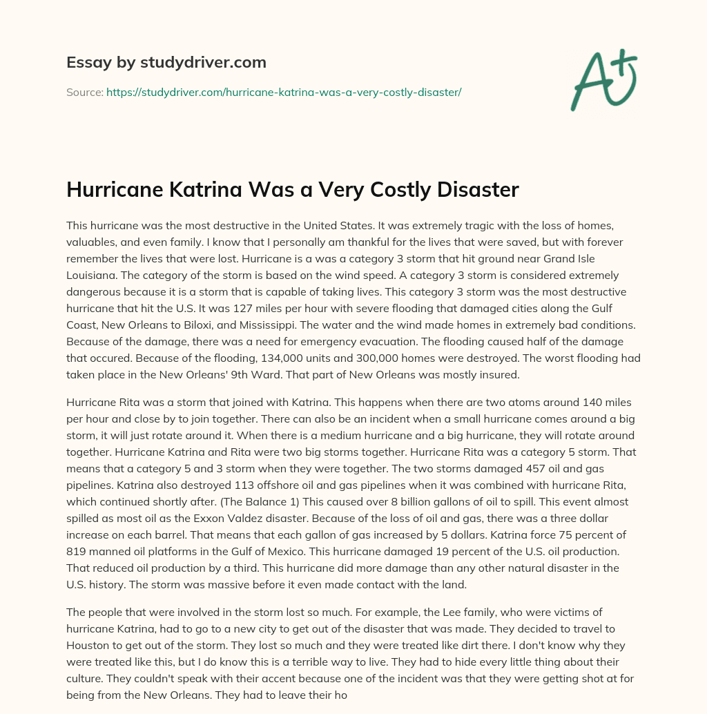 Hurricane Katrina was a very Costly Disaster essay