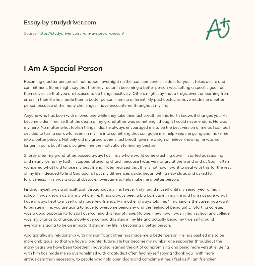 I am a Special Person essay