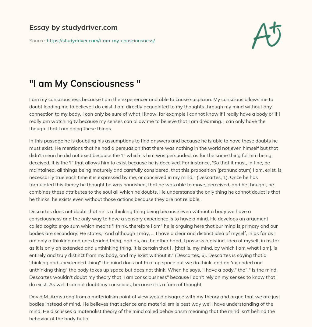 “I am my Consciousness “ essay