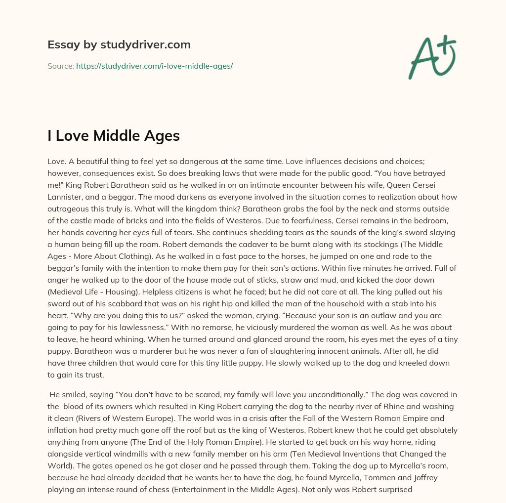 I Love Middle Ages essay