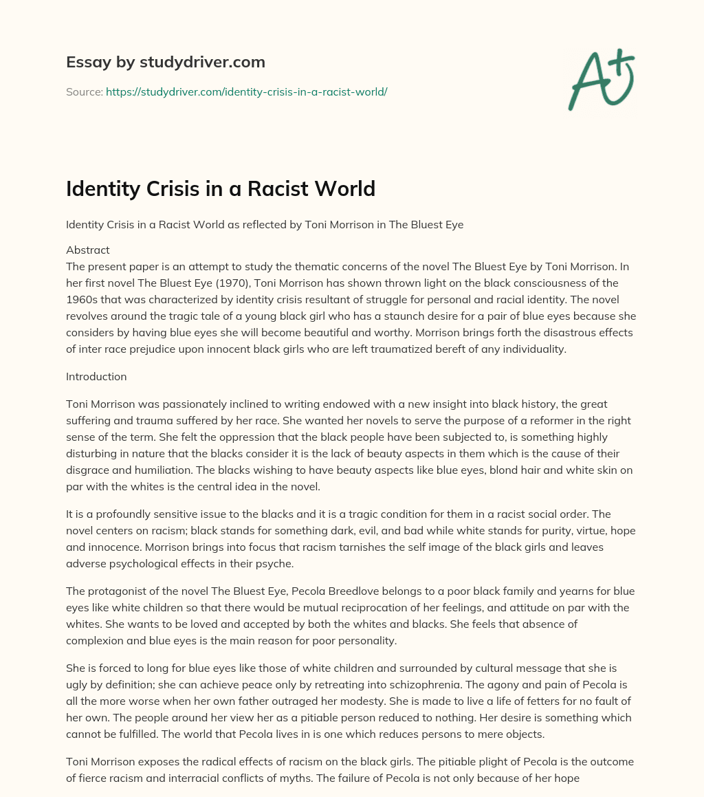 Identity Crisis in a Racist World essay