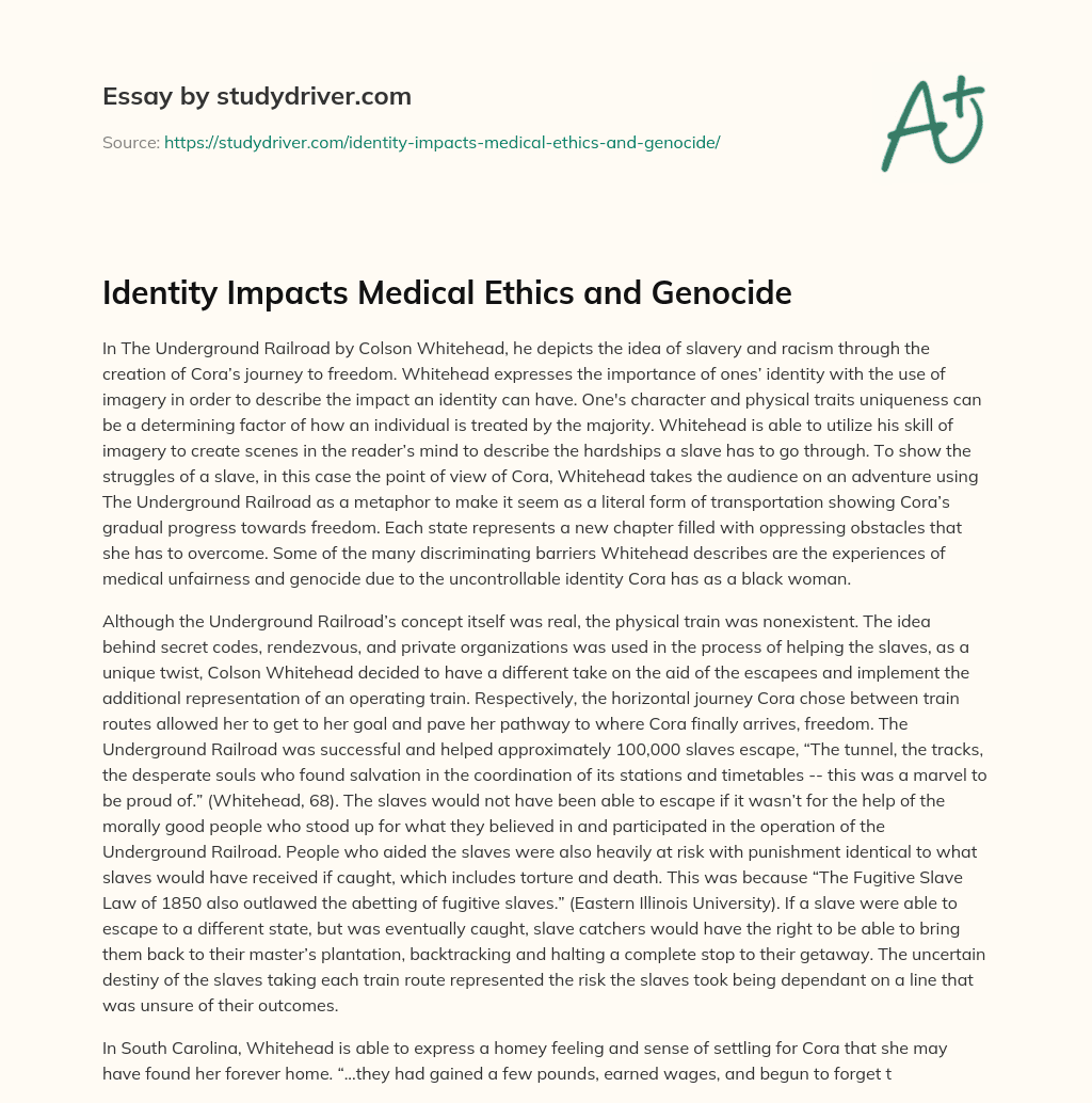 Identity Impacts Medical Ethics and Genocide essay