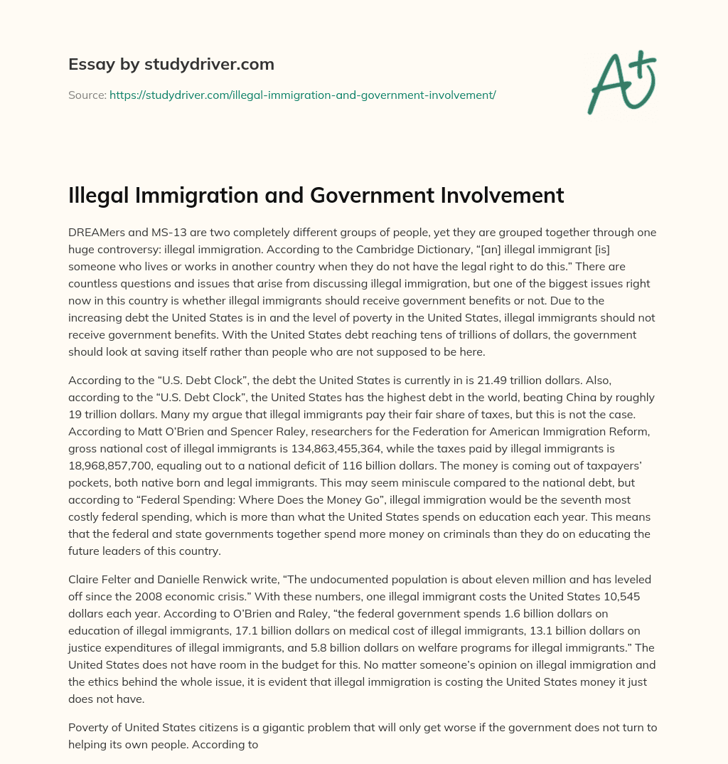 Illegal Immigration and Government Involvement essay