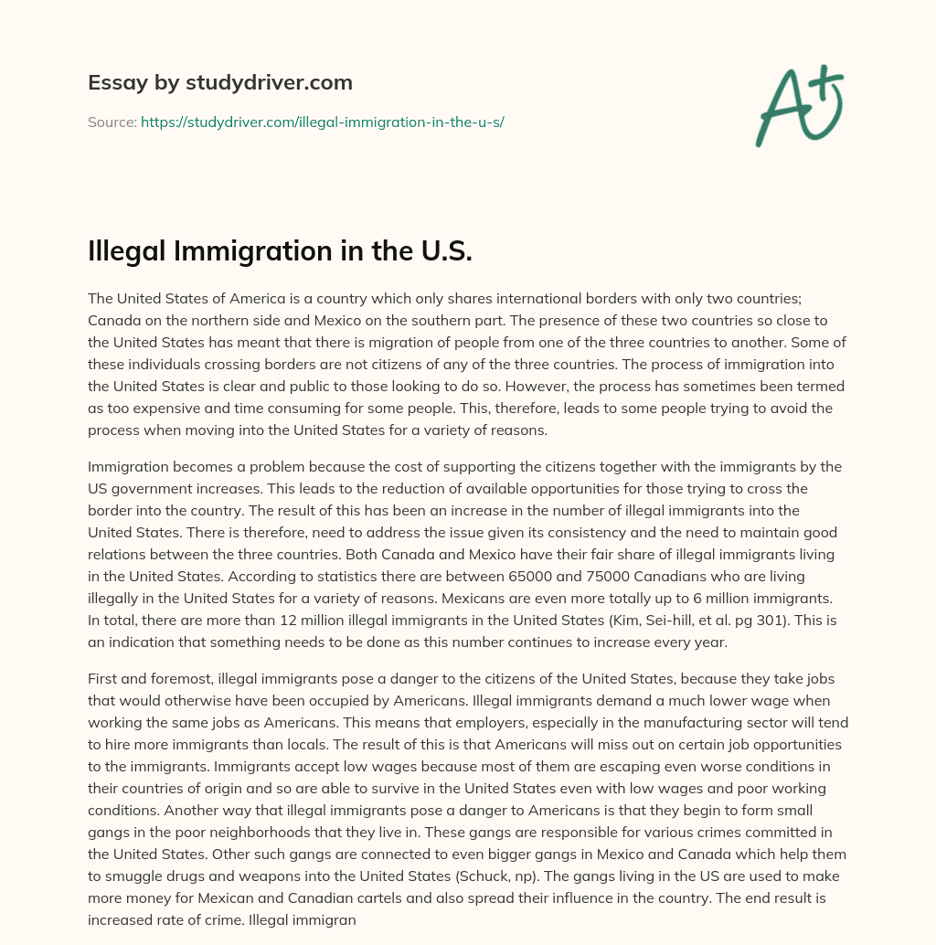 Illegal Immigration in the U.S. essay