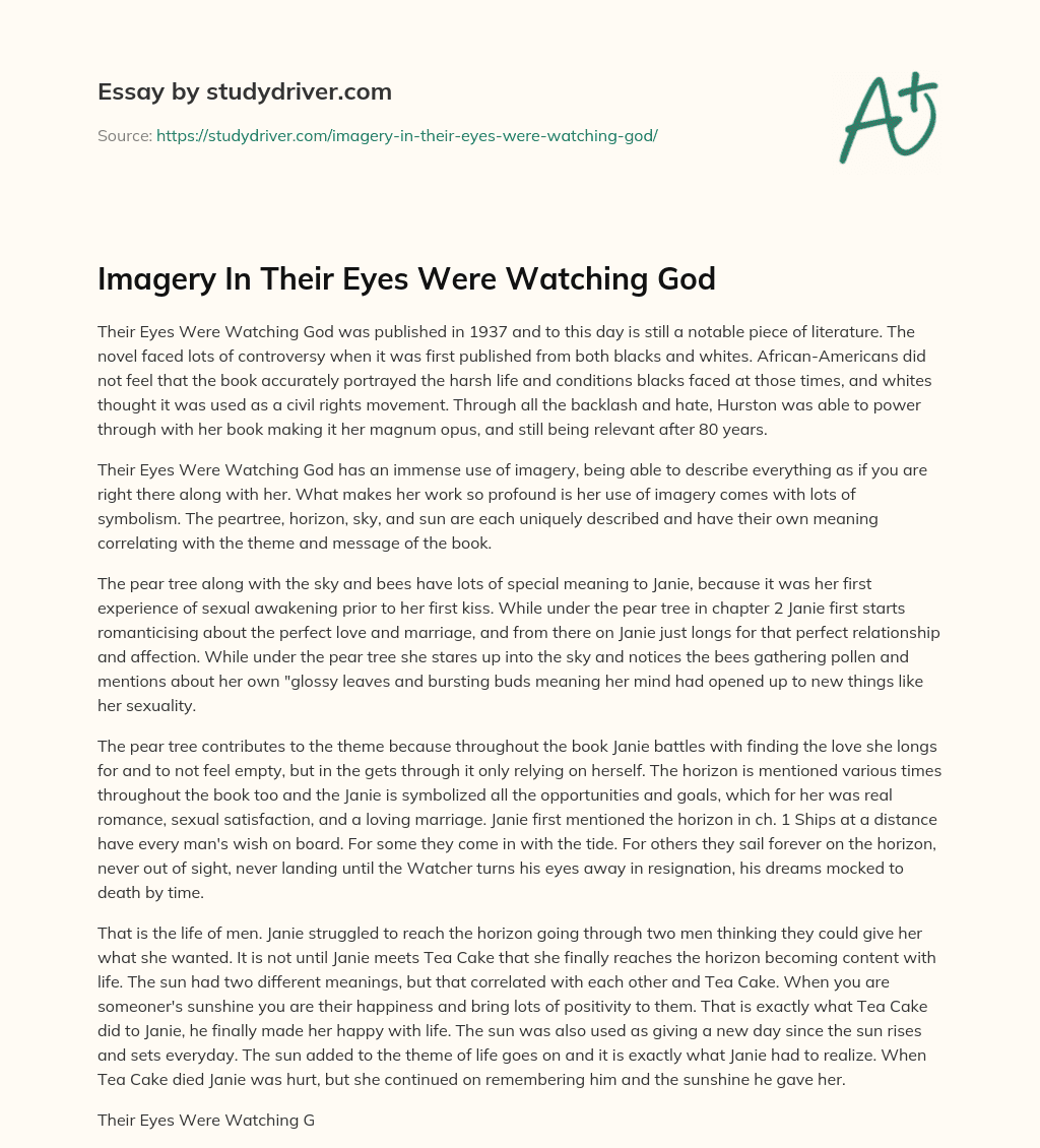 Imagery in their Eyes were Watching God essay