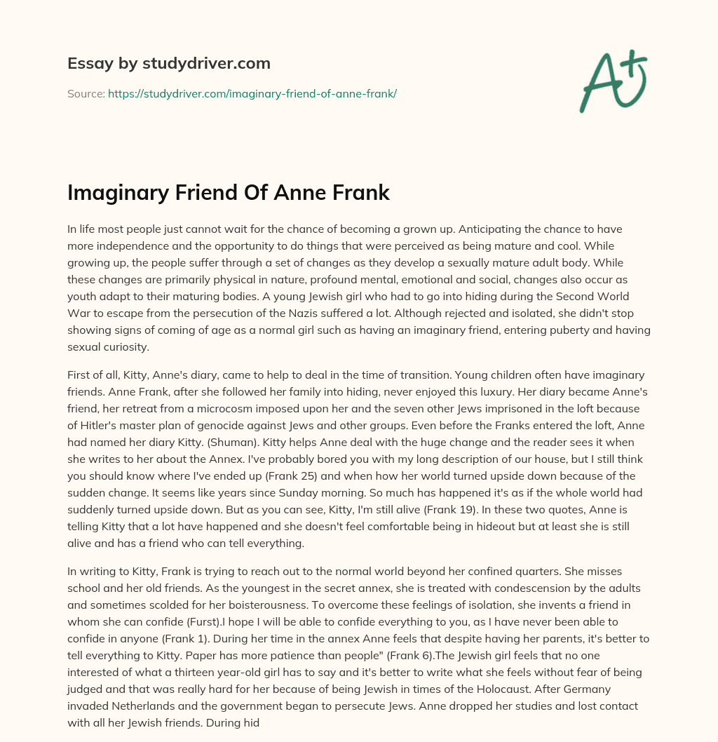 Imaginary Friend of Anne Frank essay