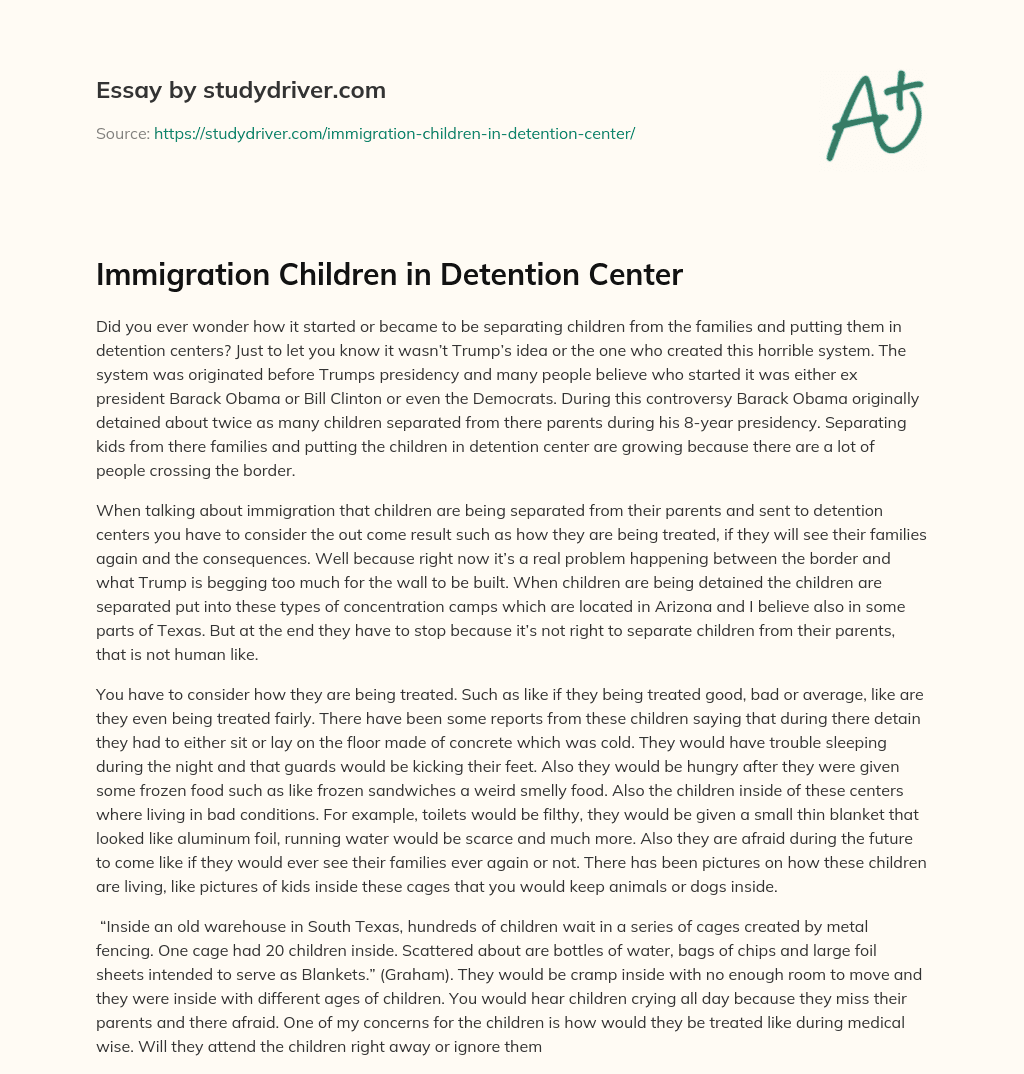 Immigration Children in Detention Center essay
