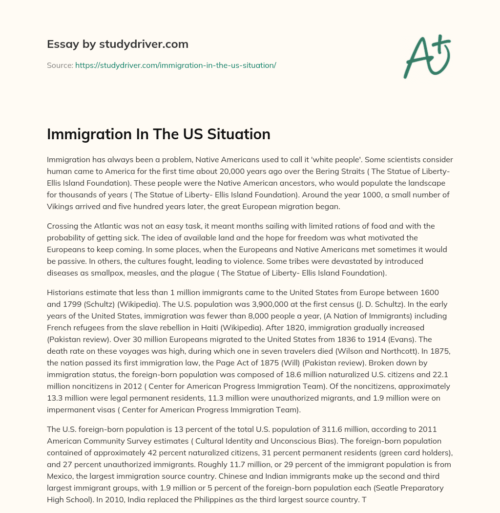 Immigration in the US Situation essay