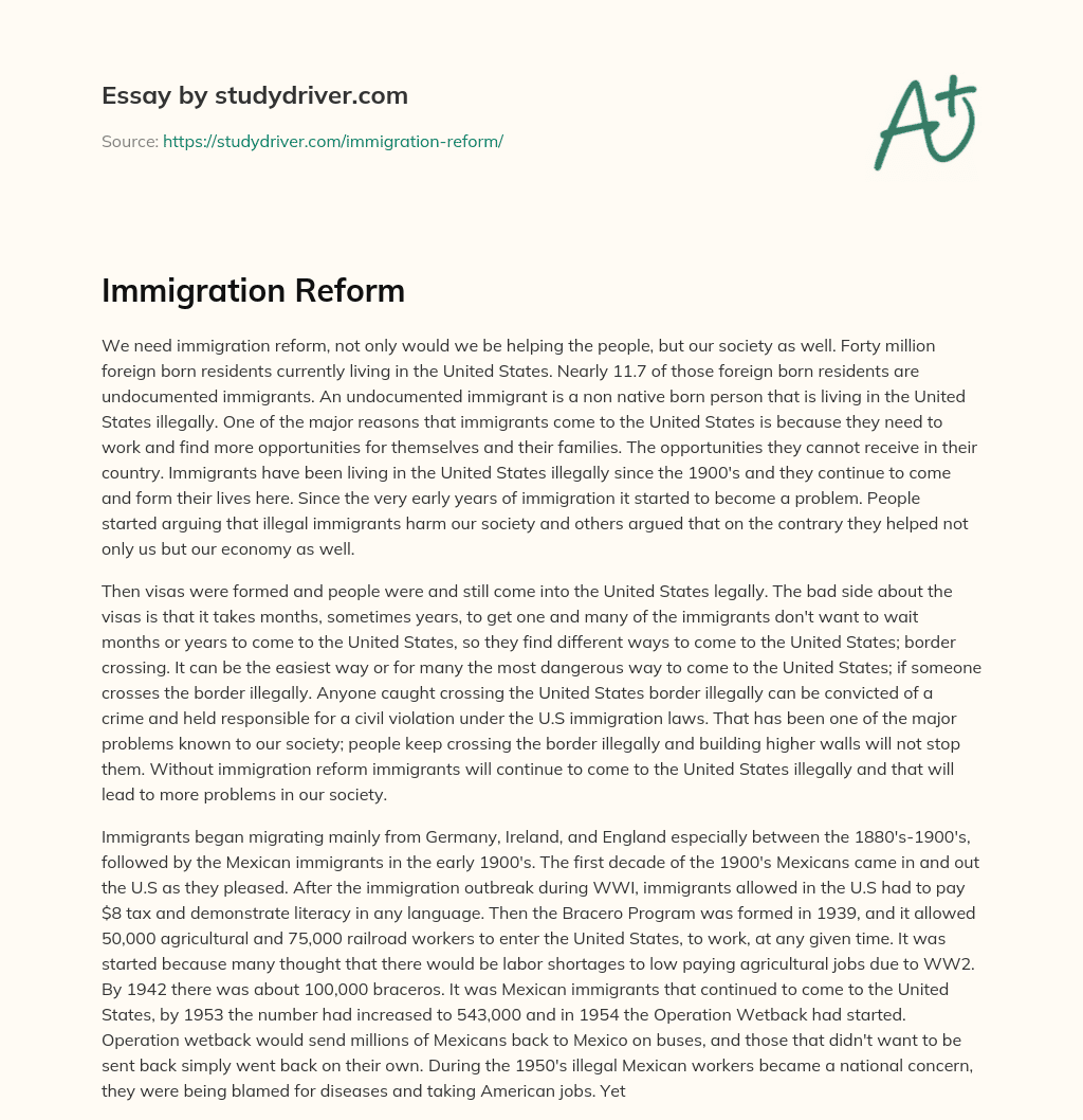 Immigration Reform essay