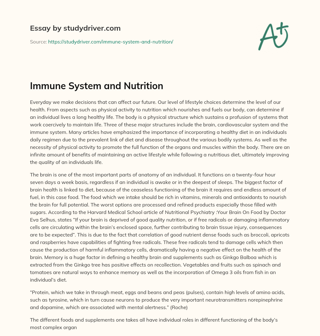 Immune System and Nutrition essay