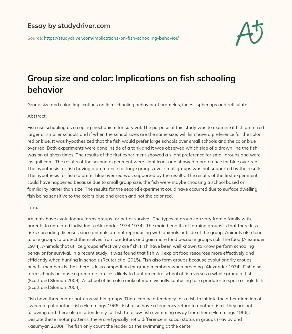 Group Size and Color: Implications on Fish Schooling Behavior essay