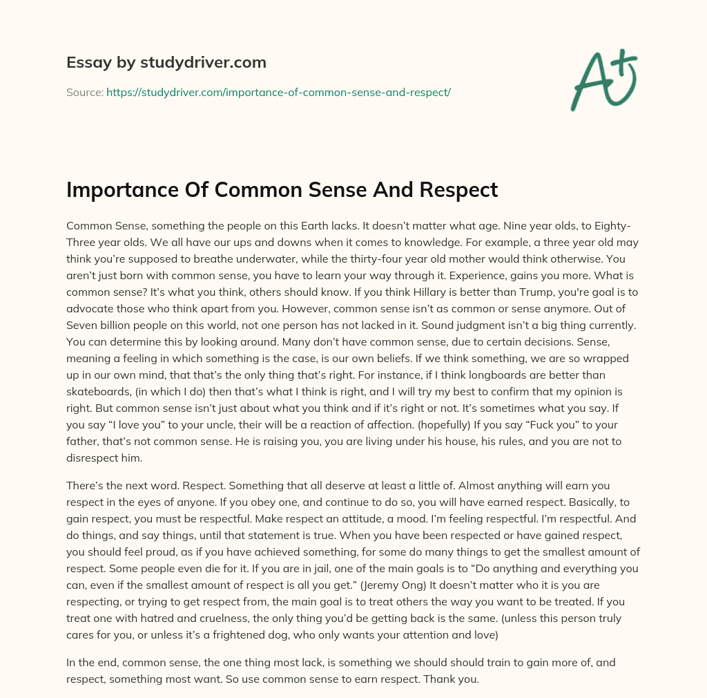 Importance of Common Sense and Respect essay