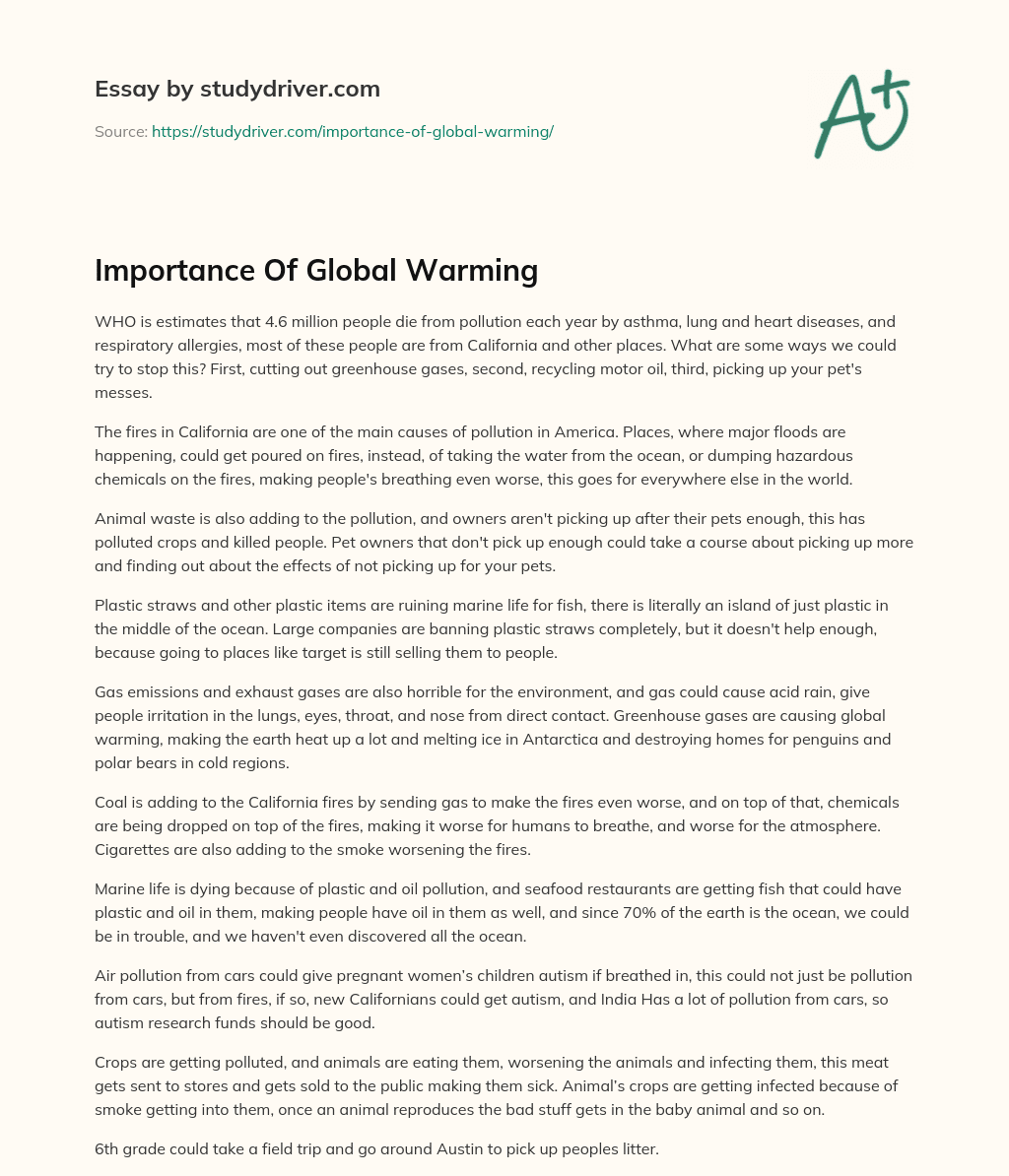 Importance of Global Warming essay