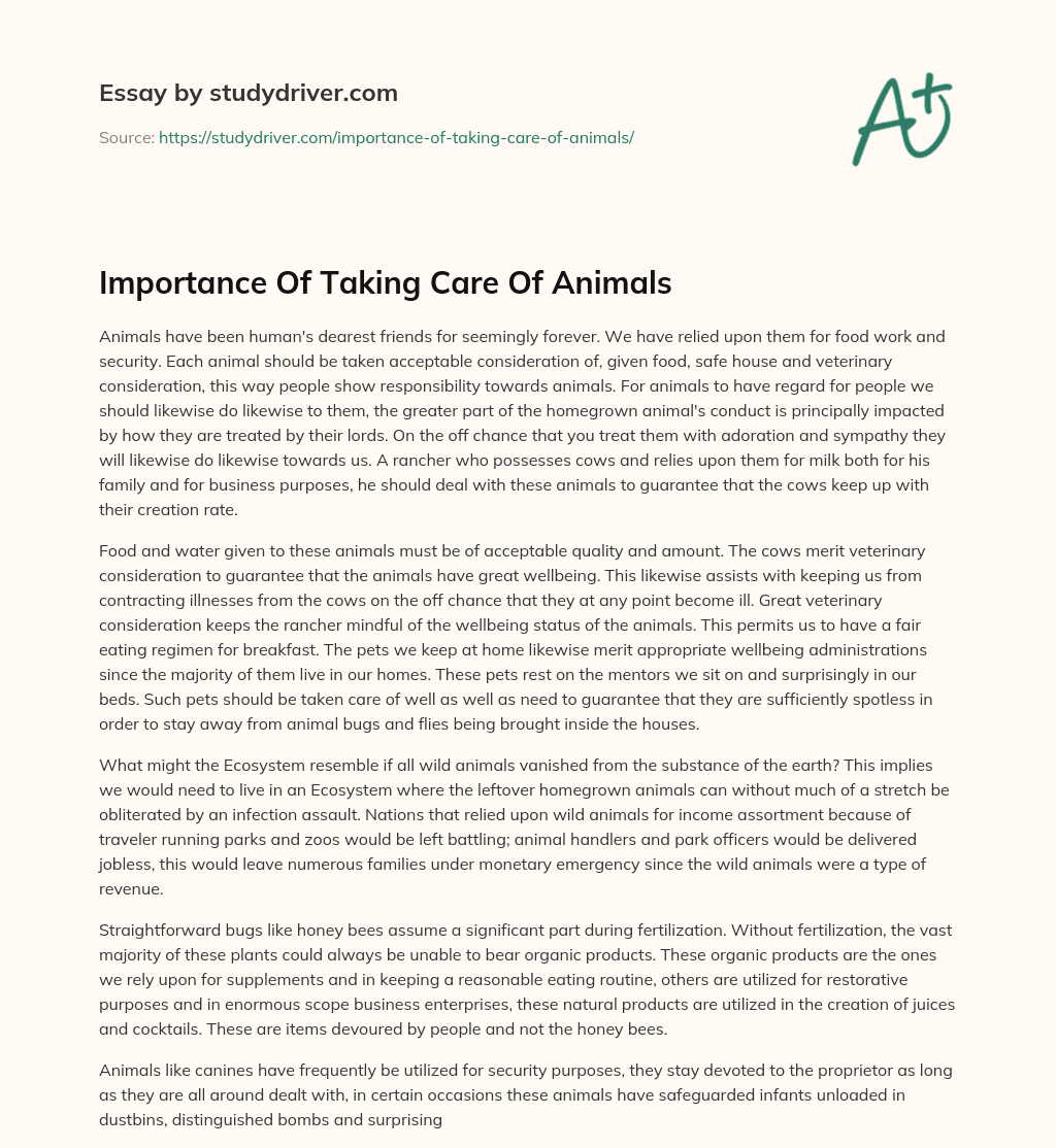 Importance Of Taking Care Of Animals - Free Essay Example - 538 Words |  