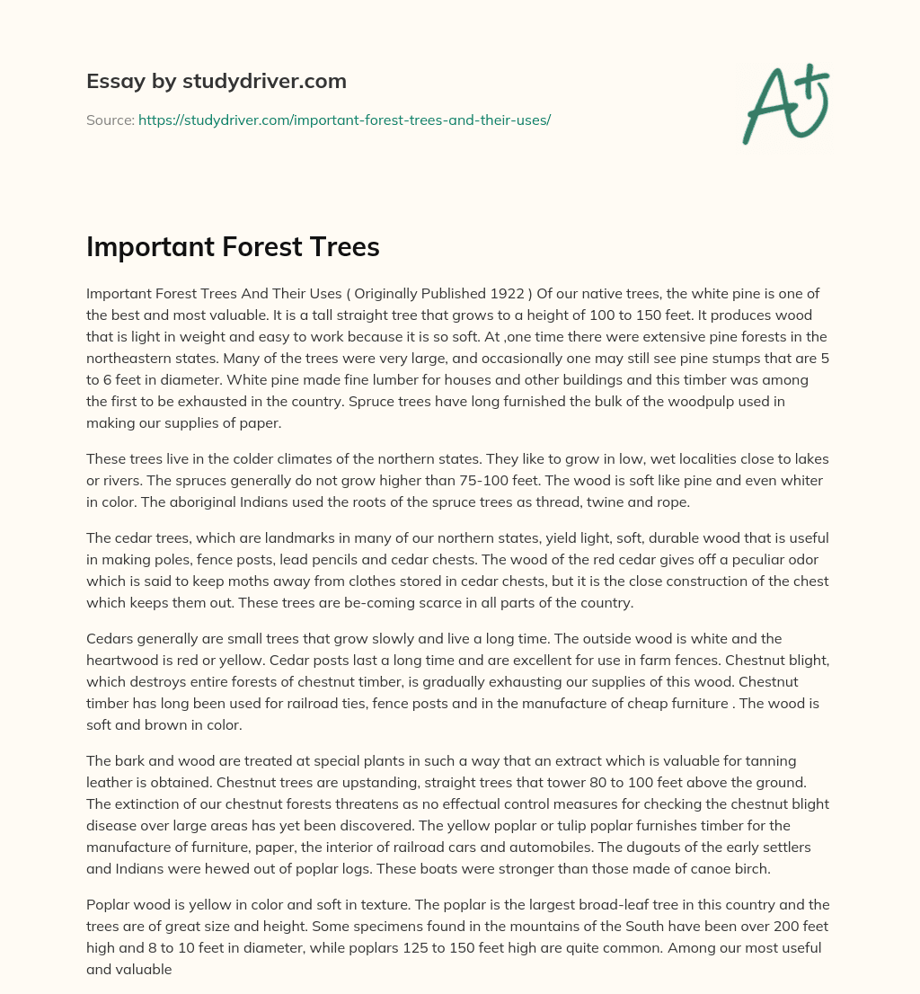 Important Forest Trees essay