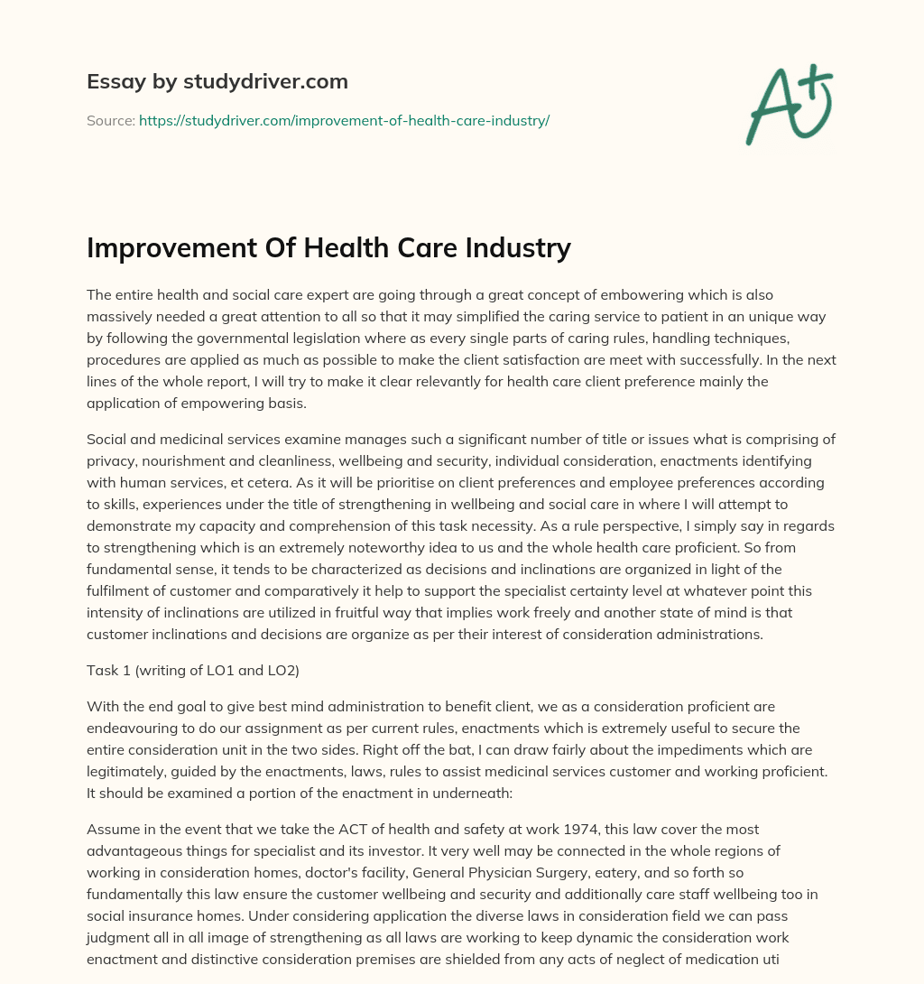Improvement of Health Care Industry essay