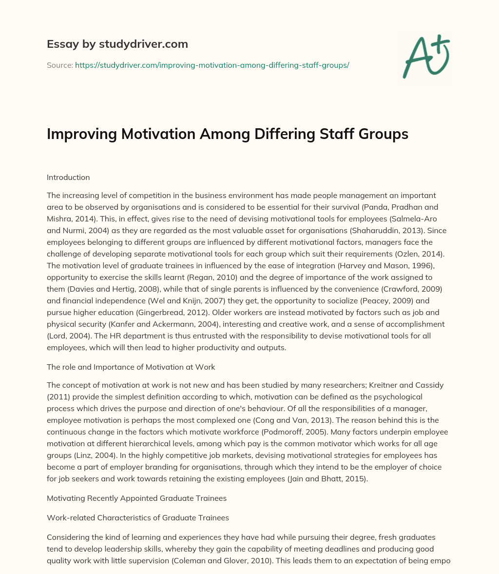 Improving Motivation Among Differing Staff Groups essay