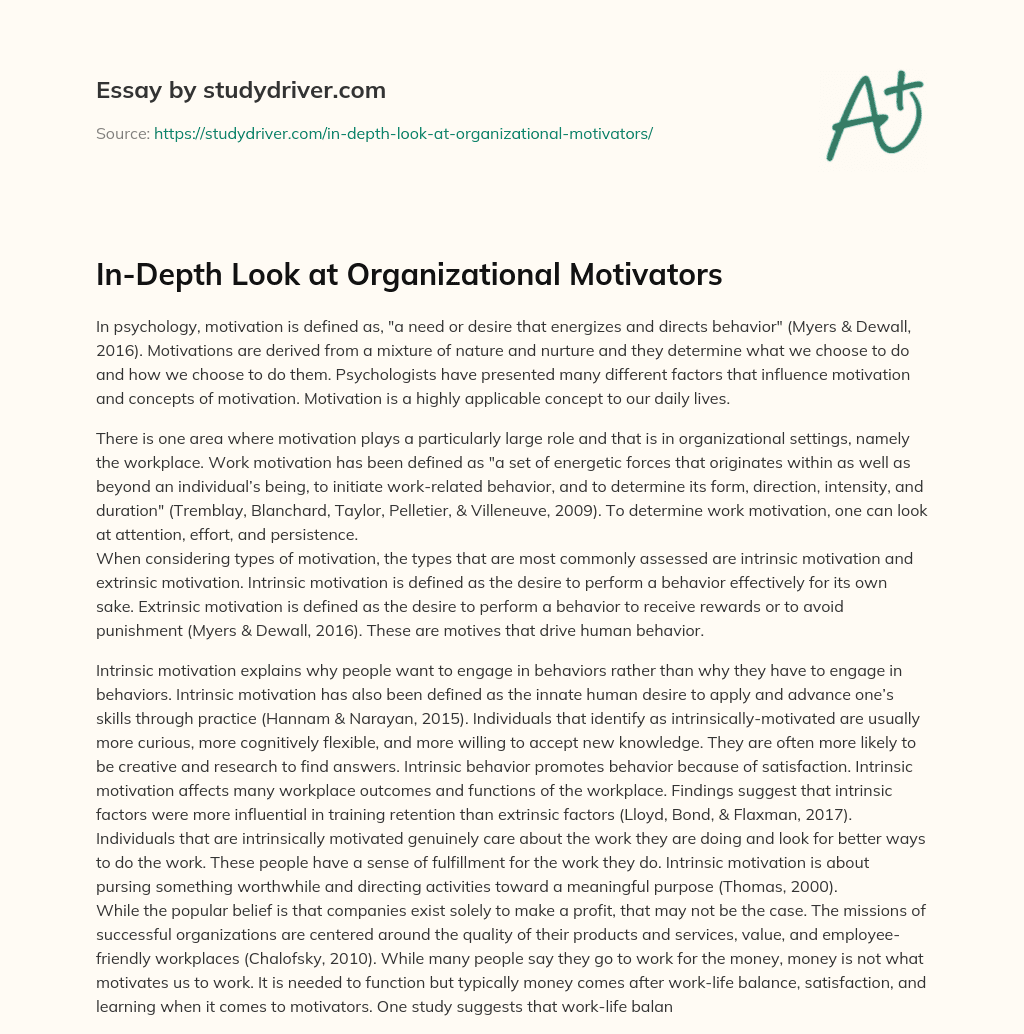In-Depth Look at Organizational Motivators essay