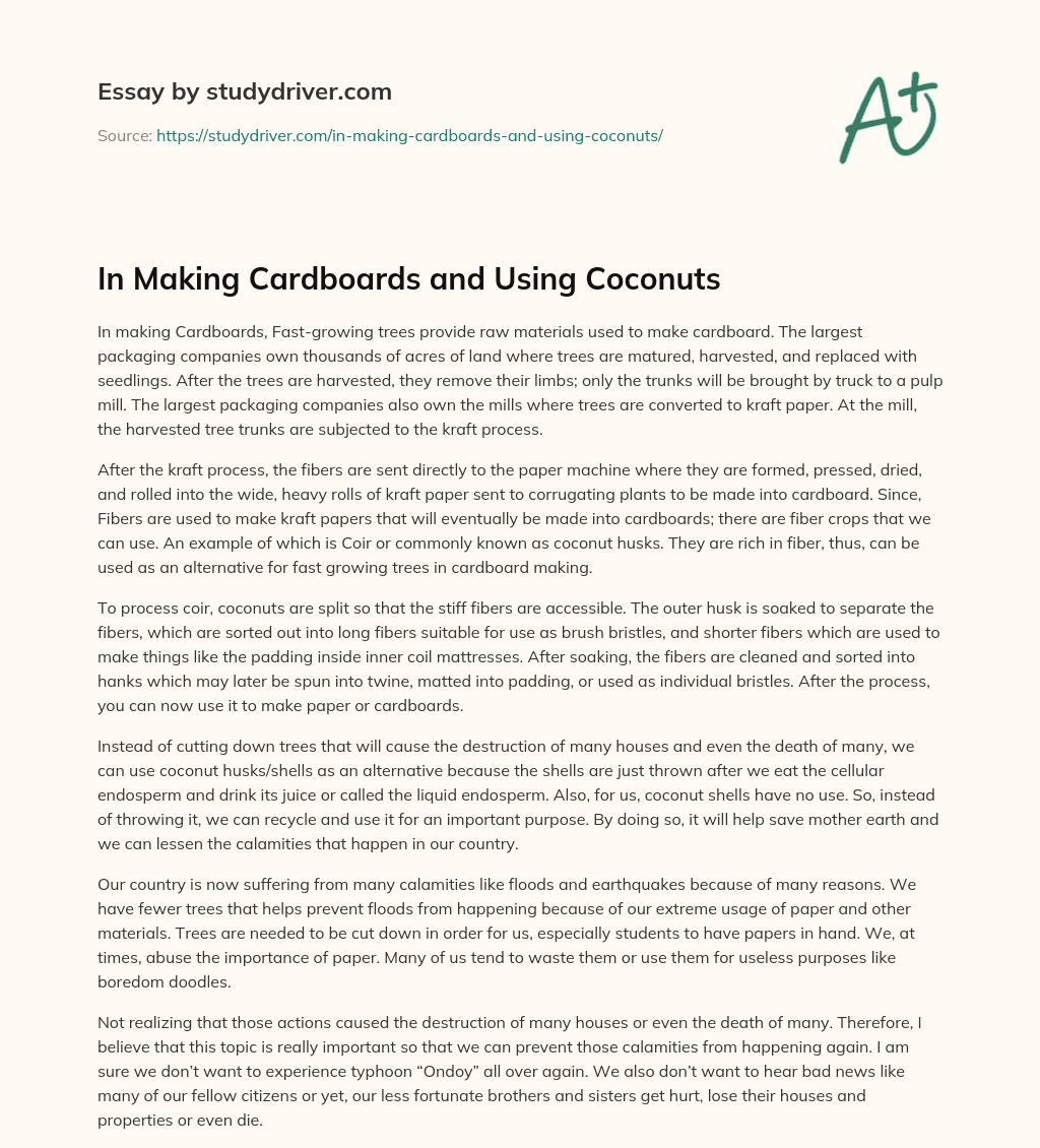 In Making Cardboards and Using Coconuts essay