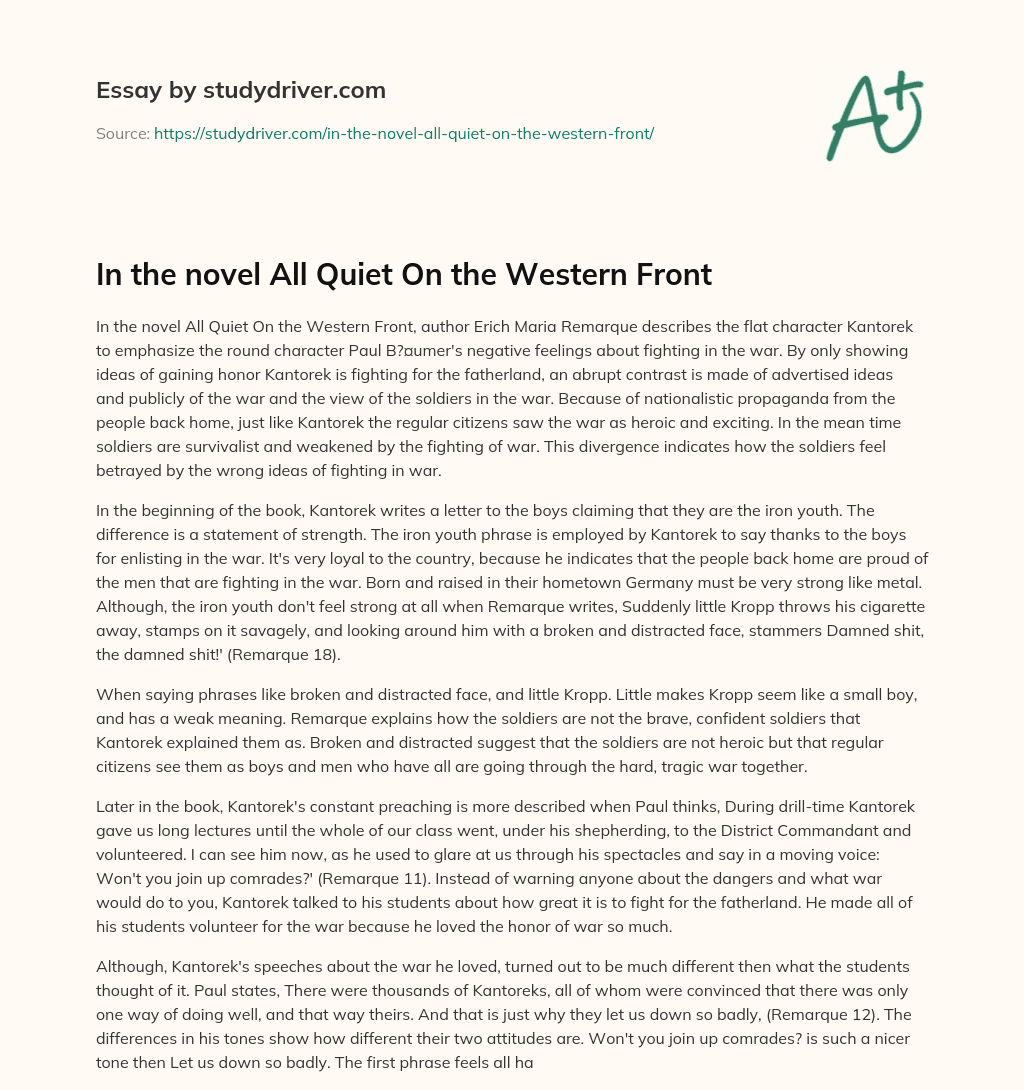In the Novel all Quiet on the Western Front essay