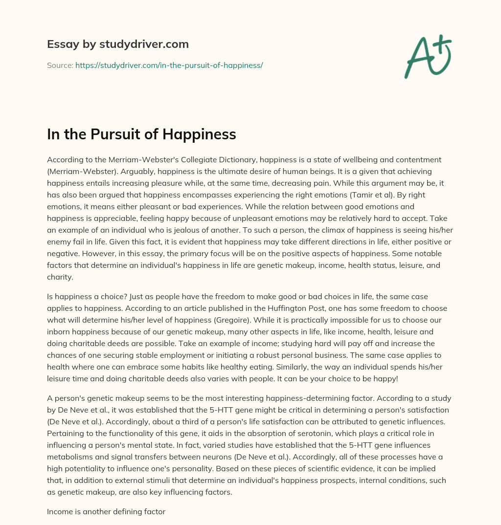 In the Pursuit of Happiness essay