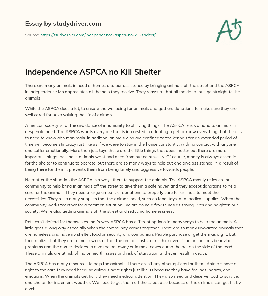 Independence ASPCA no Kill Shelter essay