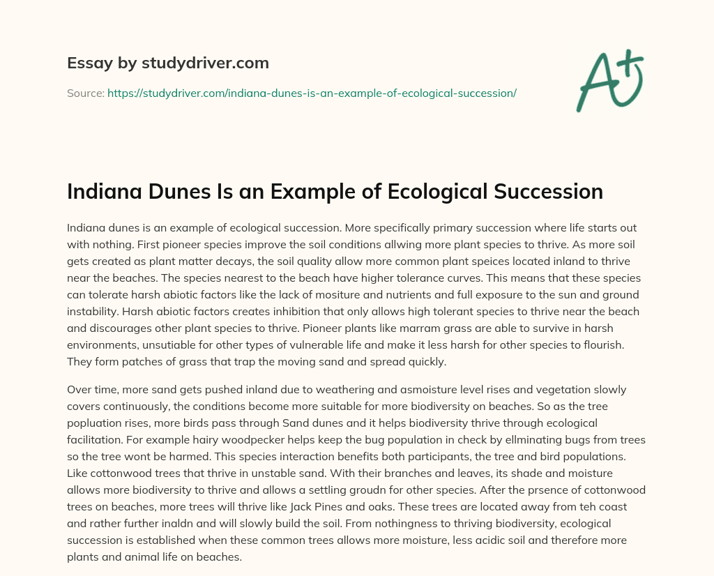 Indiana Dunes is an Example of Ecological Succession essay