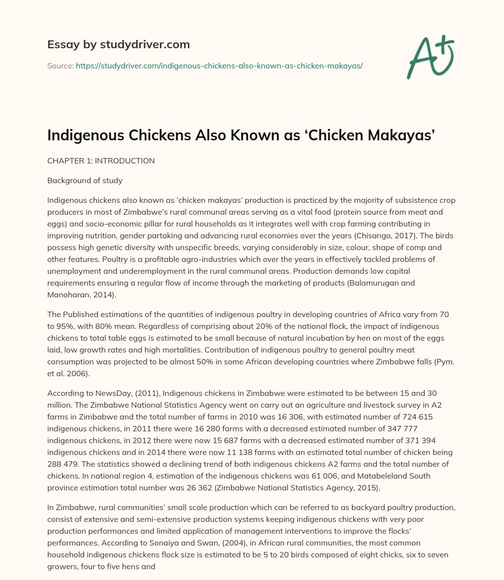 Indigenous Chickens Also Known as ‘Chicken Makayas’ essay